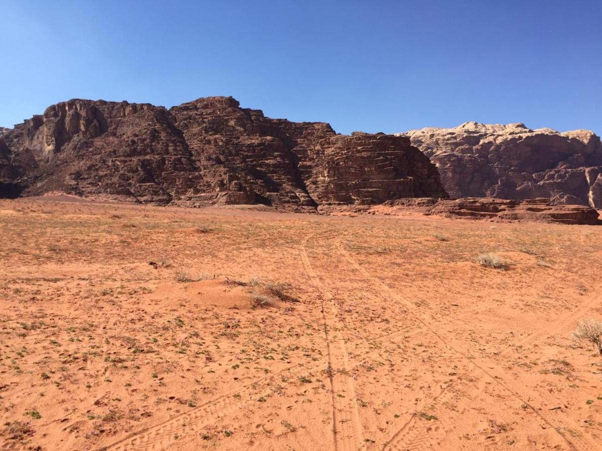 Wadi Rum Bedouin Experience Eksteriør bilde
