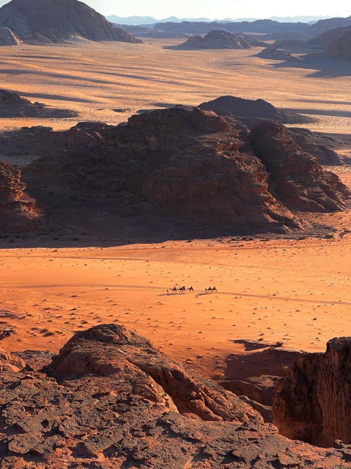 Wadi Rum Bedouin Experience Eksteriør bilde
