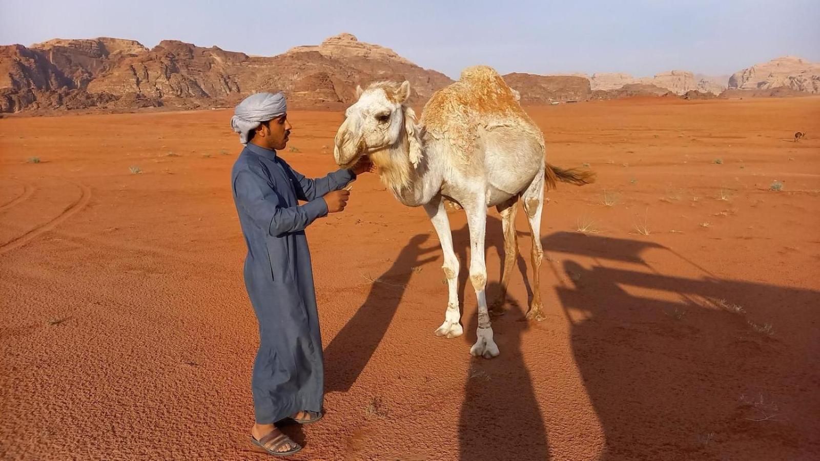 Wadi Rum Bedouin Experience Eksteriør bilde